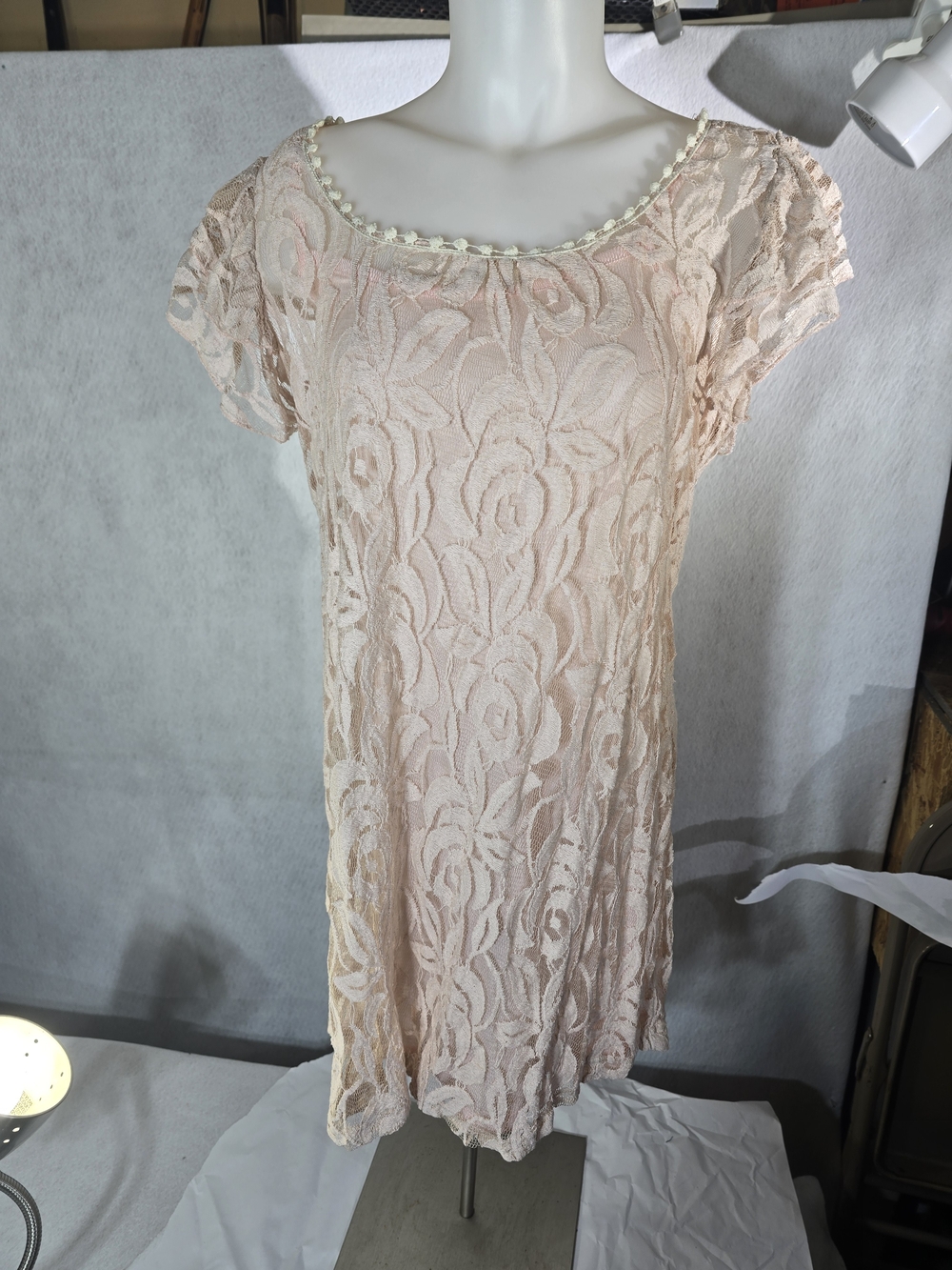 Pretty Good Blush Lace Mini Dress Size M